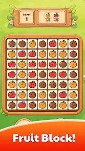 FruitBlock Screenshot 1